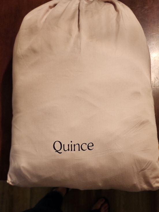 Quince Other - NWOT Quince Queen Bamboo Duvet In A Soft Drawstring Dust Bag in Light Beige
